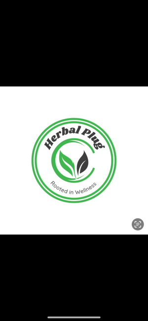 🌿 **Herbal Plug**   **St. John’s Bush Womb House Tea**   *Natural Holistic Support for Women's Wellness*