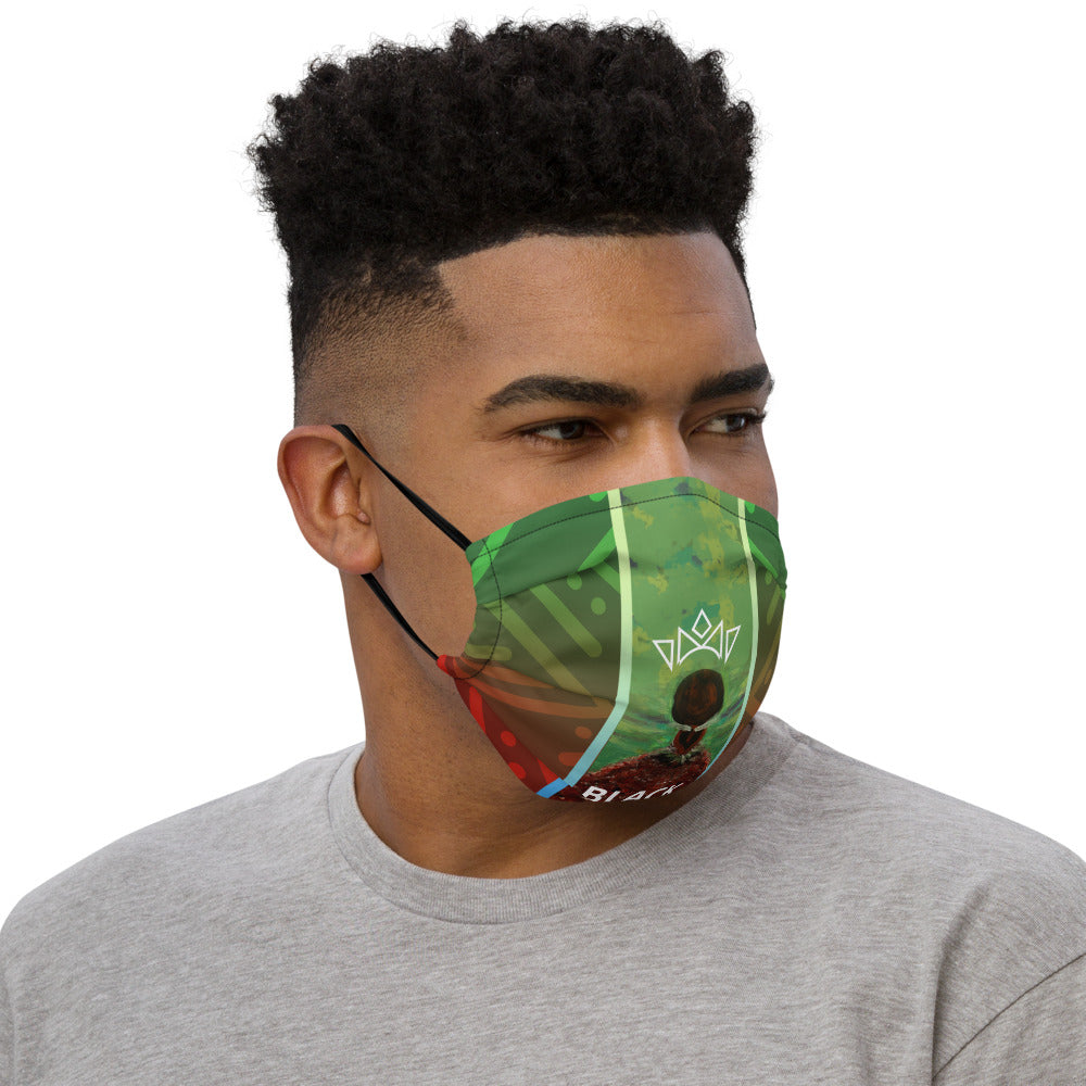 BGB Premium face mask